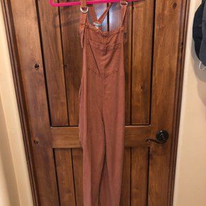 Aerie Overalls